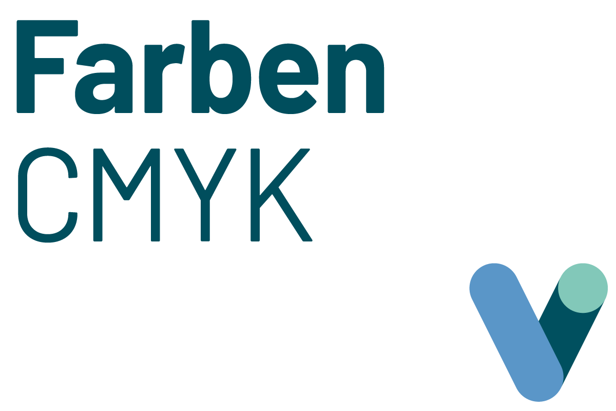 Vincenz-von-Paul-Schule Farben CMYK